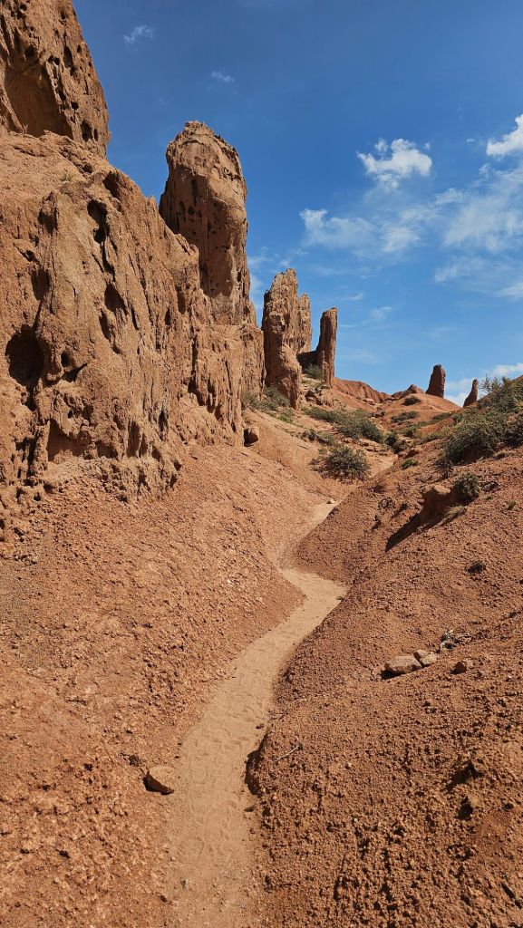 cestička pomedzi piesočné útvary