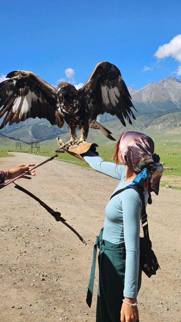 Orol, golden eagle v rukách