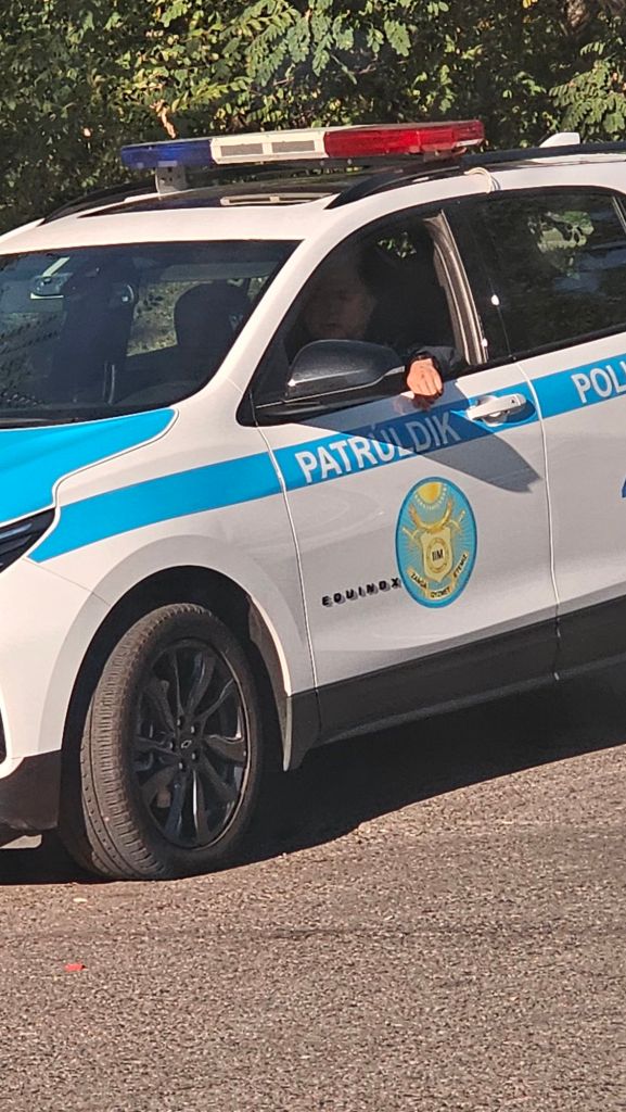 patruldík, policajne auto