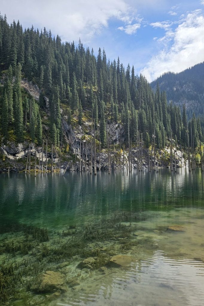 zrkadlové horské jazero, priezračná voda a v pozadí stromy