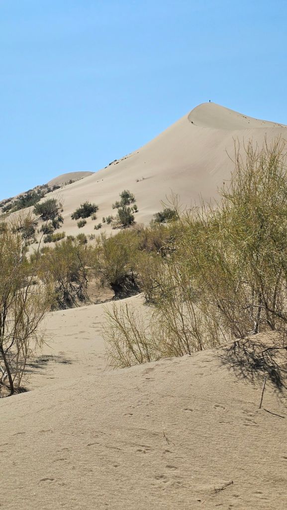 spievajúca duna národný park a púštna krajina