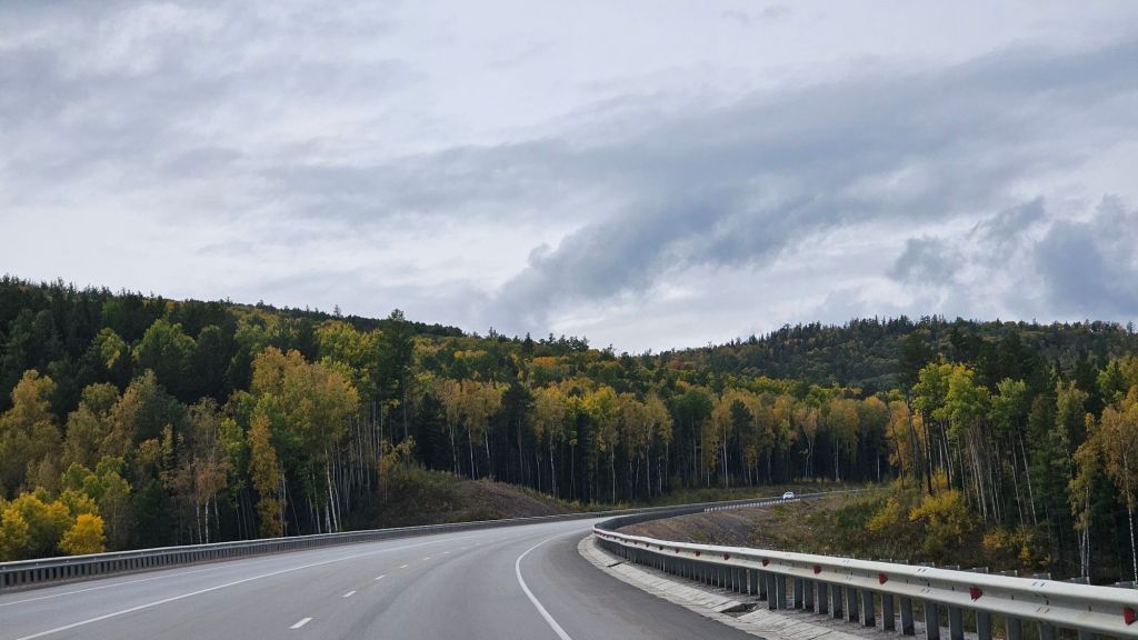 asfaltová cesta v rusku smerom k bajkalskému jazeru. lemovaná farebným brezami.