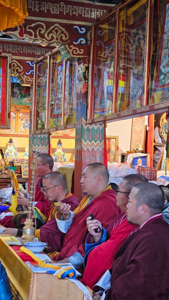 Mnísi v mongolsku modiaci sa