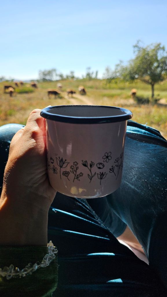 pohar rannej kávy, v pozadí pasuce sa kravy