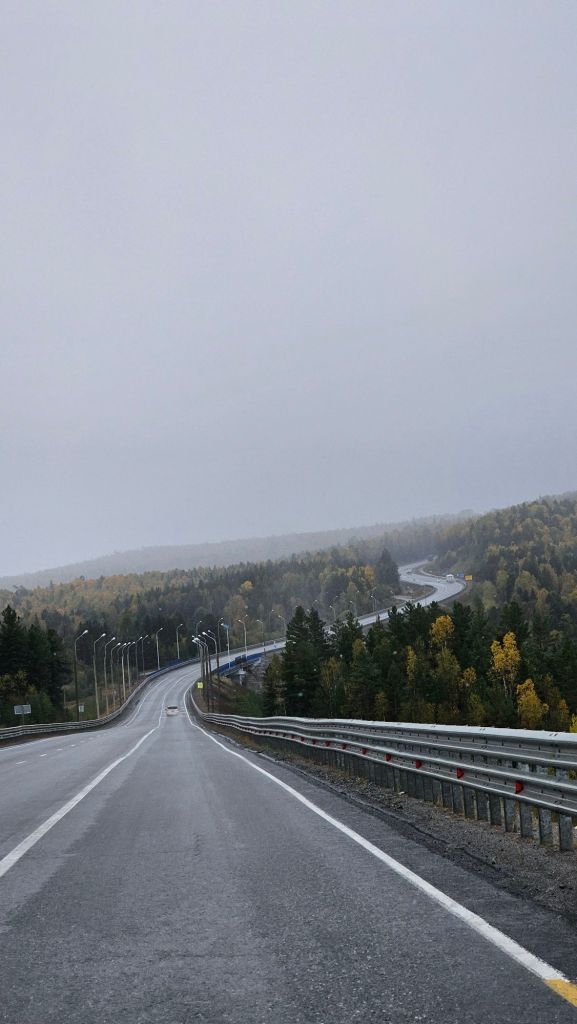 hlavný ťah na východ ruska pomedzi farebné stromy.