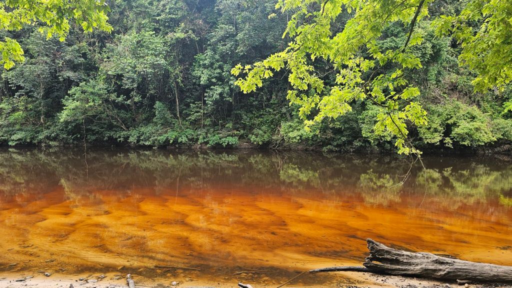 oranžová rieka sfarbená minerálmi a mangrovníkmi a dažďovom pralese