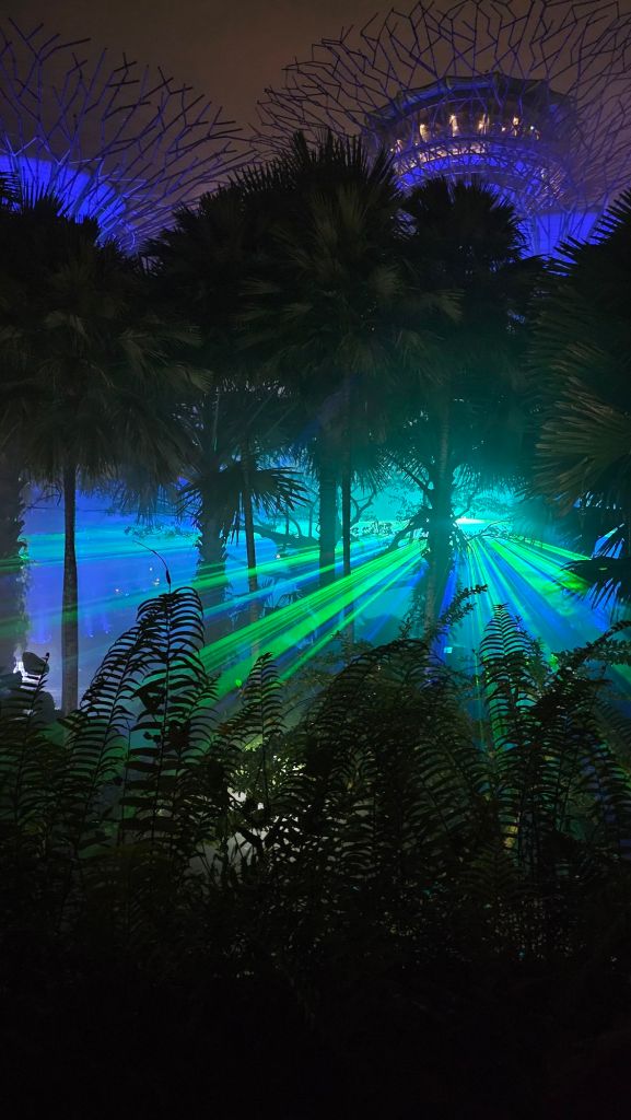 hmla, prales a super stromy osvetlené počas svetelnej šou. 