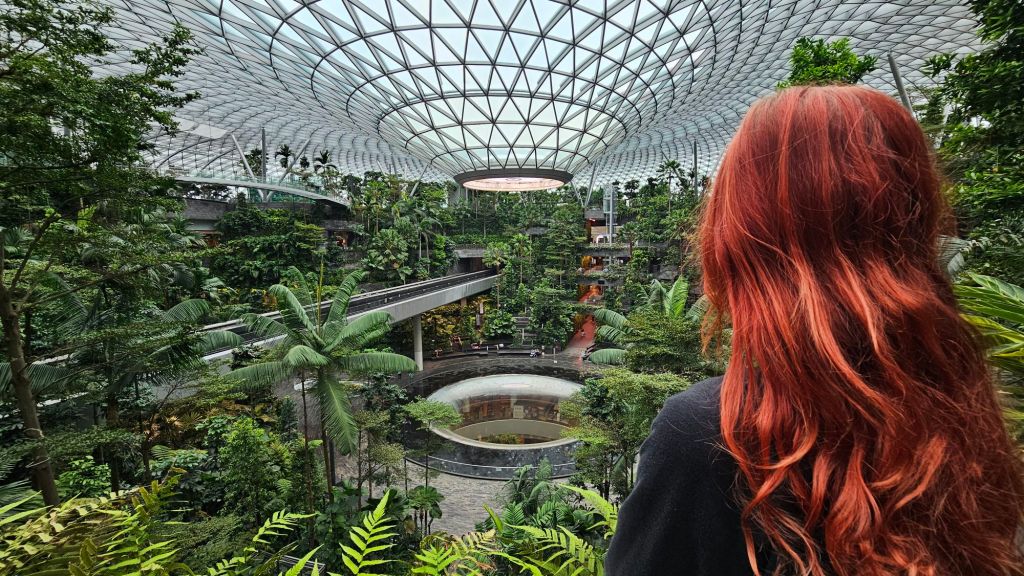 letisko v singapure, prales a vlak