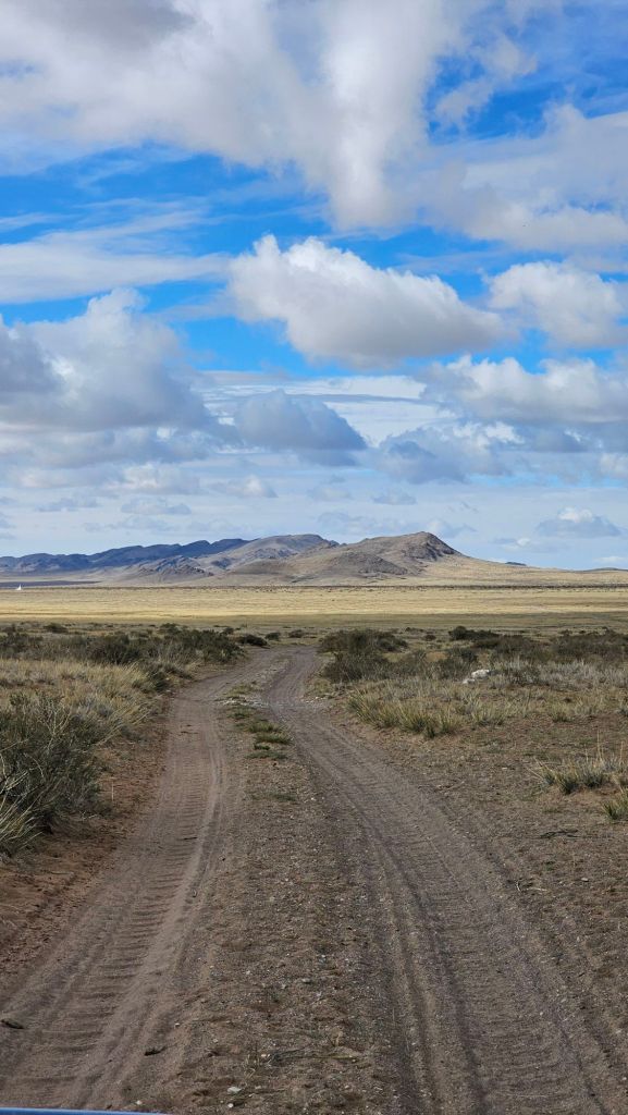 roleta na mongolskej stepi. prašná cesta s hrbolčekami