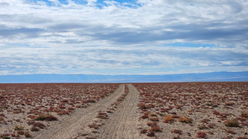 jesen na stepi a cesta prašná