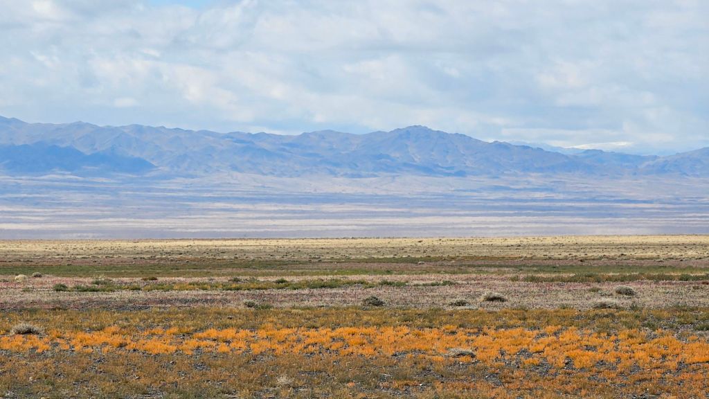 step zafarbená do jesenných farieb v pozadí hory